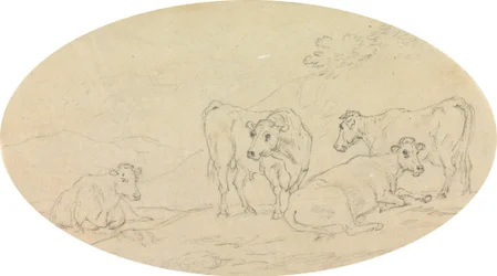 Quattro mucche in un campo