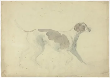 Cane da caccia (recto); schizzi di cavallo e cavaliere (verso)