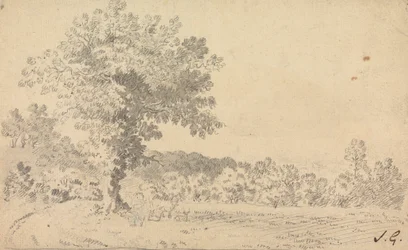 Paesaggio con Cervi