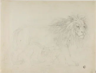 Leone