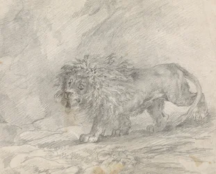 Leone che cammina in un paesaggio roccioso