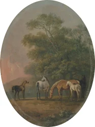 Cavalle e puledri, c.1770-80