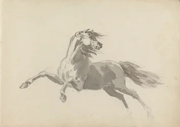 Disegno del taccuino