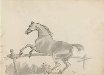 Disegno del Taccuino