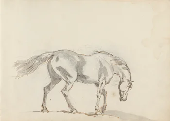 Disegno del taccuino