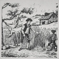 Una famiglia che raccoglie il grano