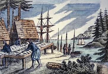Pescatori che asciugano il merluzzo in Nuova Inghilterra, da un