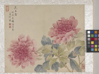 Album di 8 foglie di fiori, metà 1700