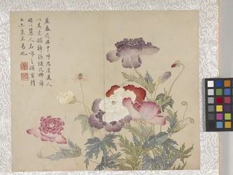 Album di 8 foglie di fiori, metà 1700