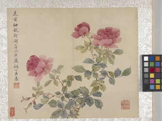 Album di 8 foglie di fiori, metà 1700