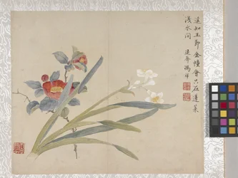 Album di 8 foglie di fiori, metà 1700