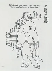 Agopuntura cinese: il grande intestino