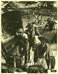 Soldati e civili cooperano da Sung Ping-heng, soldati e contadini lavorano insieme per recuperare il grano. Incisione su legno, in "Woodcuts of war-time China 1937-1945", Shanghai