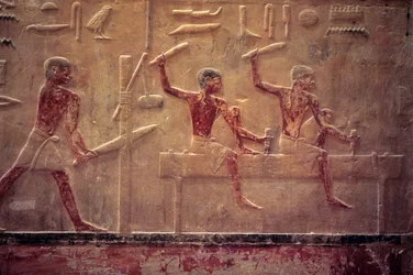 Antico Egitto, rilievo/dipinto murale, mastaba/tomba di Ti, Saqqara, V dinastia, carpentieri che segano e martellano, sagomatura di una trave (foto)