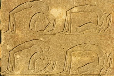 Antico Egitto, Pittura/Scultura murale, Acrobate femminili che si esibiscono, Tempio di Karnak, Luxor