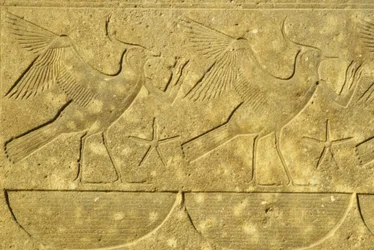 Antico Egitto, Pittura/incisione murale, Allodole, che rappresentano le varie tribù d