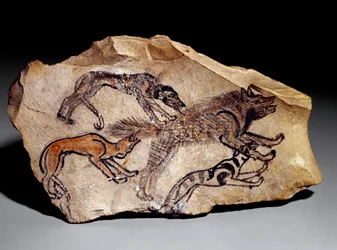 Cani che cacciano una iena (incisione su pietra, c.1300-1100 a.C.)
