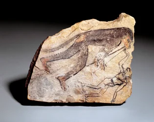 Figura di ostrakon: scimmia che suona il doppio flauto (aulos) per far ballare un uomo. Dal sito di Deir el-Medineh (calcare, ca. 1295-1186)
