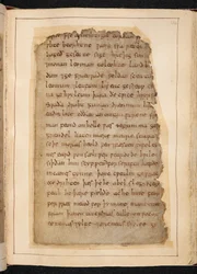 Una pagina di Beowulf dai fogli a volte chiamati 