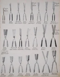 Pinze per arricciare i capelli, da un catalogo commerciale di beni domestici e accessori, c.1890-1910