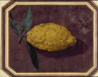 Un limone