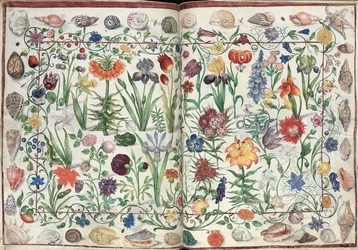Pagine dall