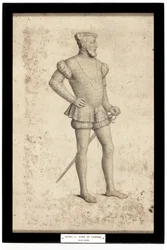 Enrico II, Re di Francia