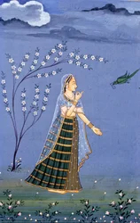 Miniatura, Rajasthan, India