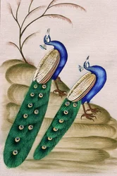 Miniatura dipinta su carta: pavone