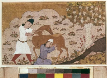 Mungitura di onagro, fine XV secolo