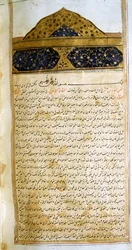 Pagina dal Canone della Medicina (al-Qānūn fī aṭ-Ṭibb) di Avicenna