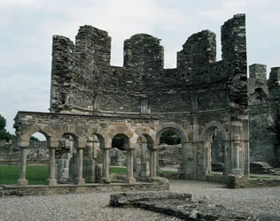 Abbazia di Mellifont vicino a Drogheda