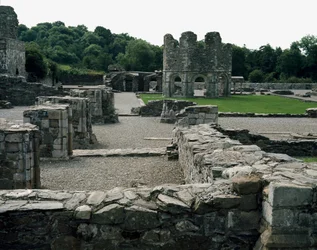 Abbazia di Mellifont vicino a Drogheda