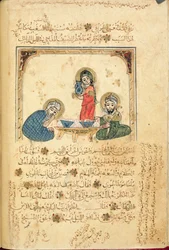 Illustrazione da 
