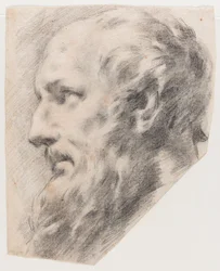 Testa di profilo (carboncino su carta)