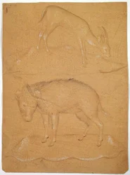 Studio di una capra e un cinghiale