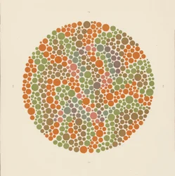 Test di Ishihara per rilevare il daltonismo