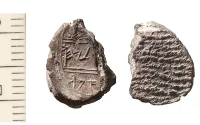 Bolla di Amar (argilla)