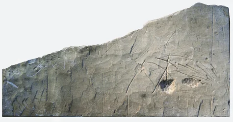 Iscrizione funeraria ebraica da Beth Loya, colline della Giudea, Israele, VI secolo a.C.