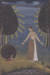 "Kakubha Ragini": una dama si trova in una radura e nutre due pavoni, Lucknow, Mughal provinciale, da una serie I-VIII di un album Johnson n. 30, ca. 1780