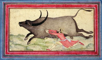 Bufalo in fuga, Johnson Album XIV, n.11, verso, c.1700