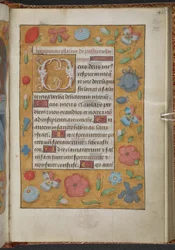 Libro d