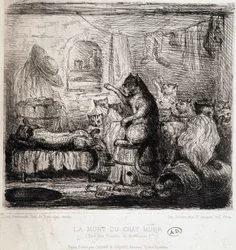La morte del gatto Murr (dai racconti di Hoffmann) - Disegno, Portogallo