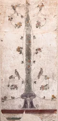 Uccelli e frutta
