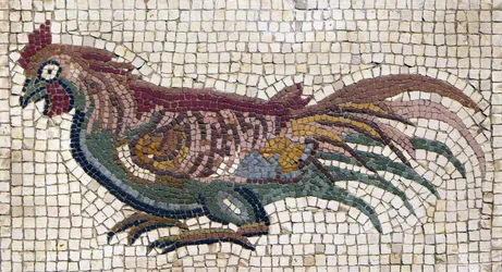 Gallo multicolore dal pavimento di una villa romana in Tunisia