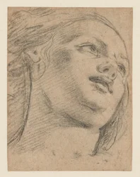 Studio di testa femminile guardando in alto a destra (recto); Studio di due figure che sostengono un oggetto (verso)