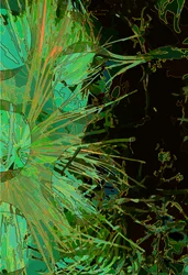 Carciofo_abst_vert2