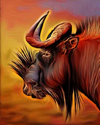 Gnu nero, 2021