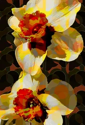 Narciso