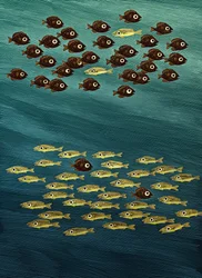 Pesce, 2010 (tavola di graffio, colorata in digitale)